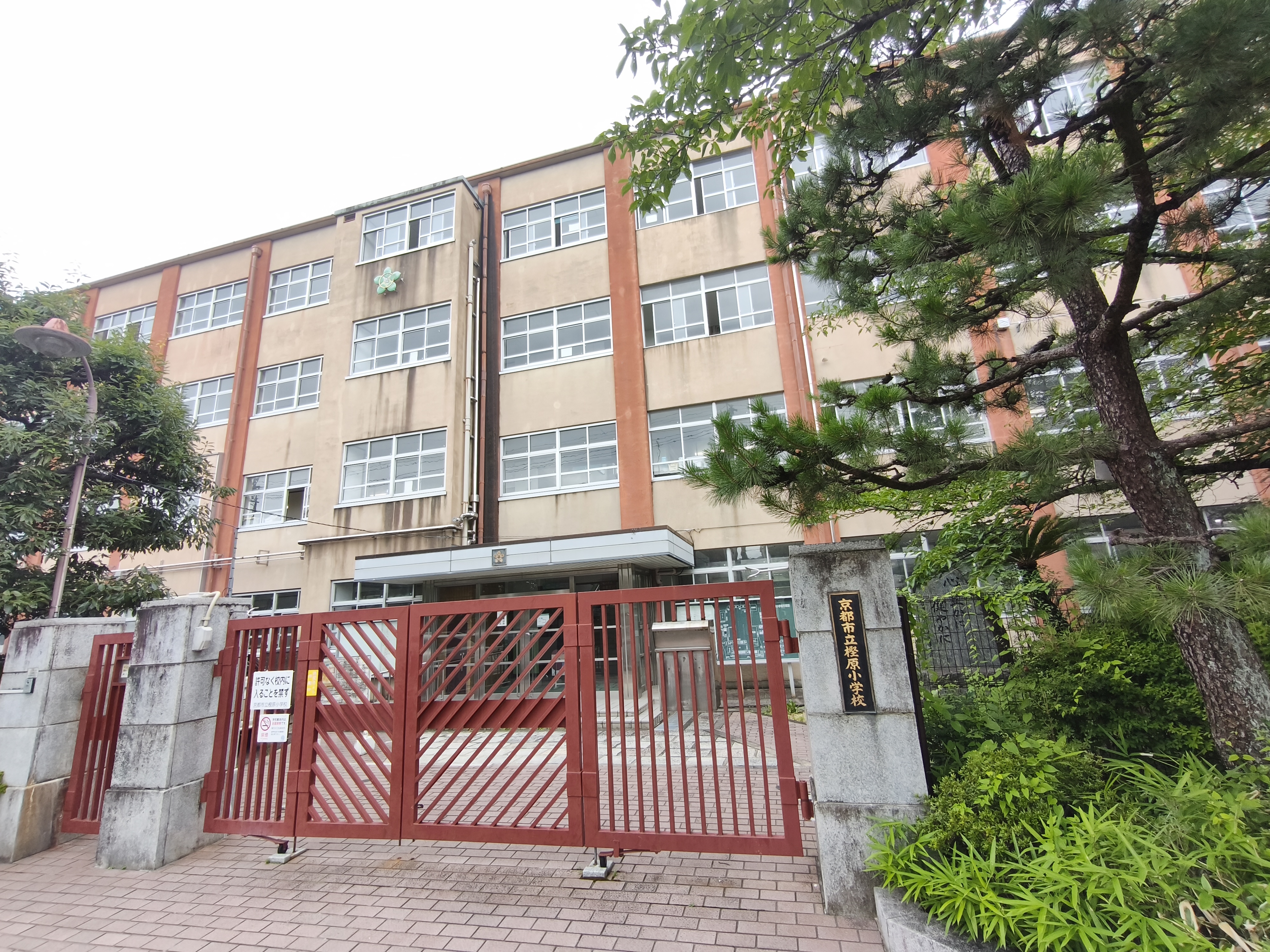 樫原　小学校